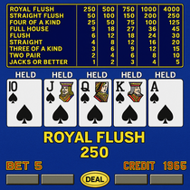 Dolly Casino - Video Poker Games